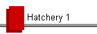 Hatchery 1